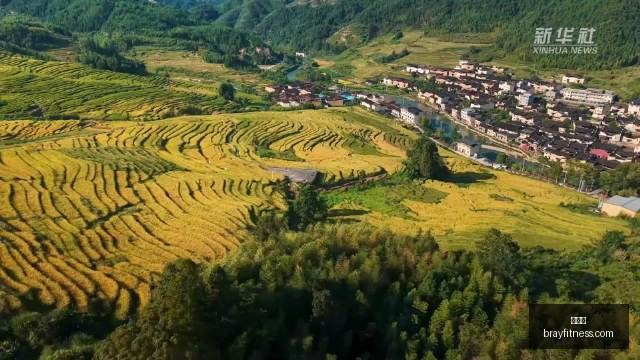 佛山景区游,客踩踏陆龟,事件通报,雷竞技,雷竞技官网,雷竞技app,雷竞技直播